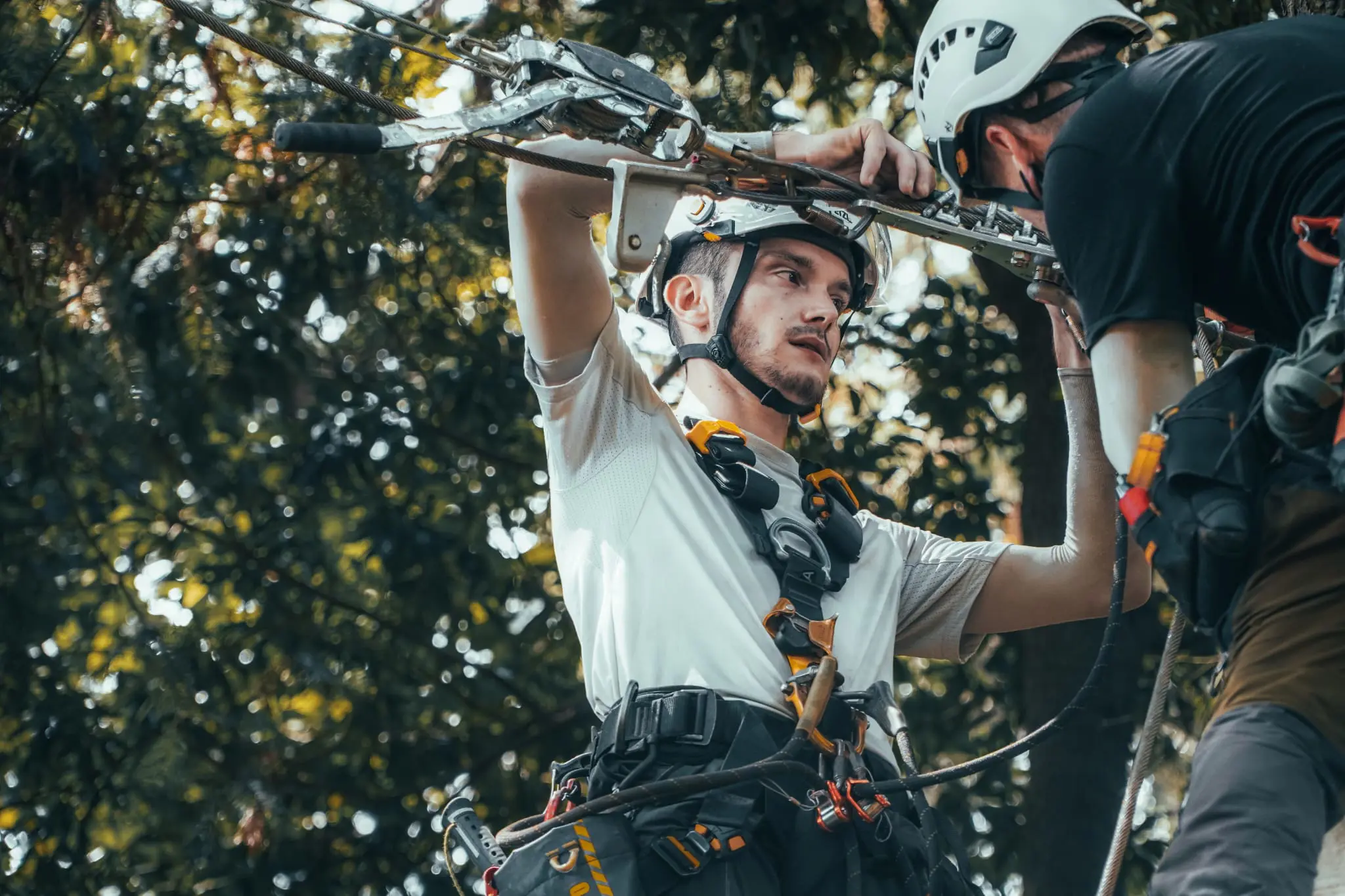 Technicien Accros Concept équipé lors d'une installation de parc aventure professionnelle