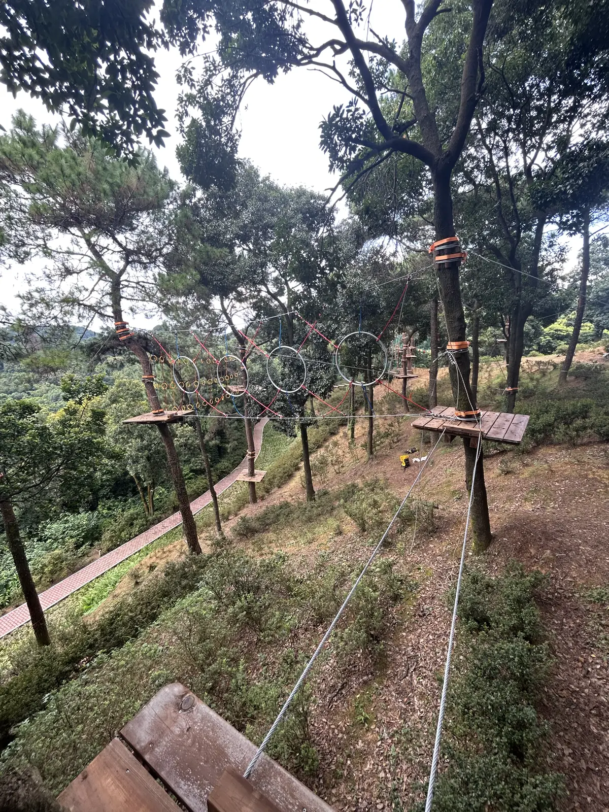 Hanging rings activity between trees, Foshan adventure park