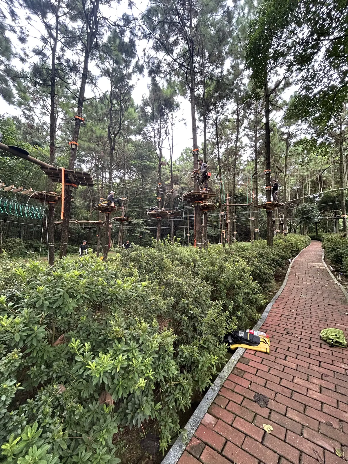 Overview of the ropes courses, Xiqiao Mountain, Foshan, China