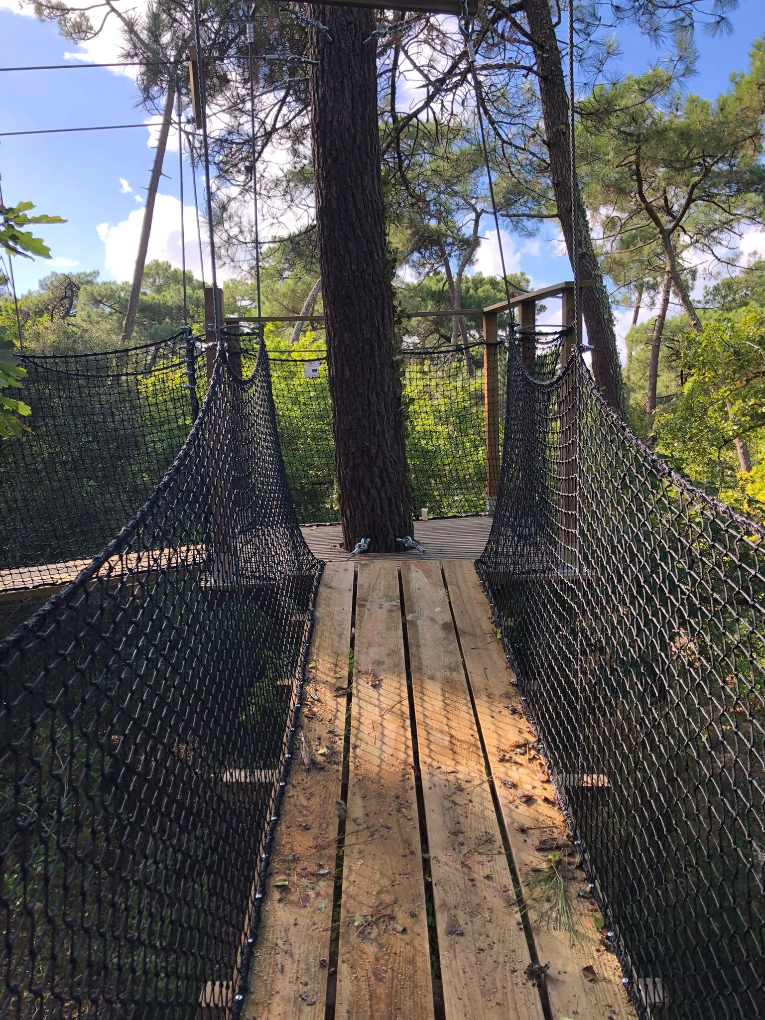Passerelle en bois et plateforme, parcours canopée Arcachon