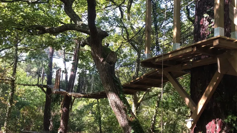 Overview of the canopy walkway, Arcachon