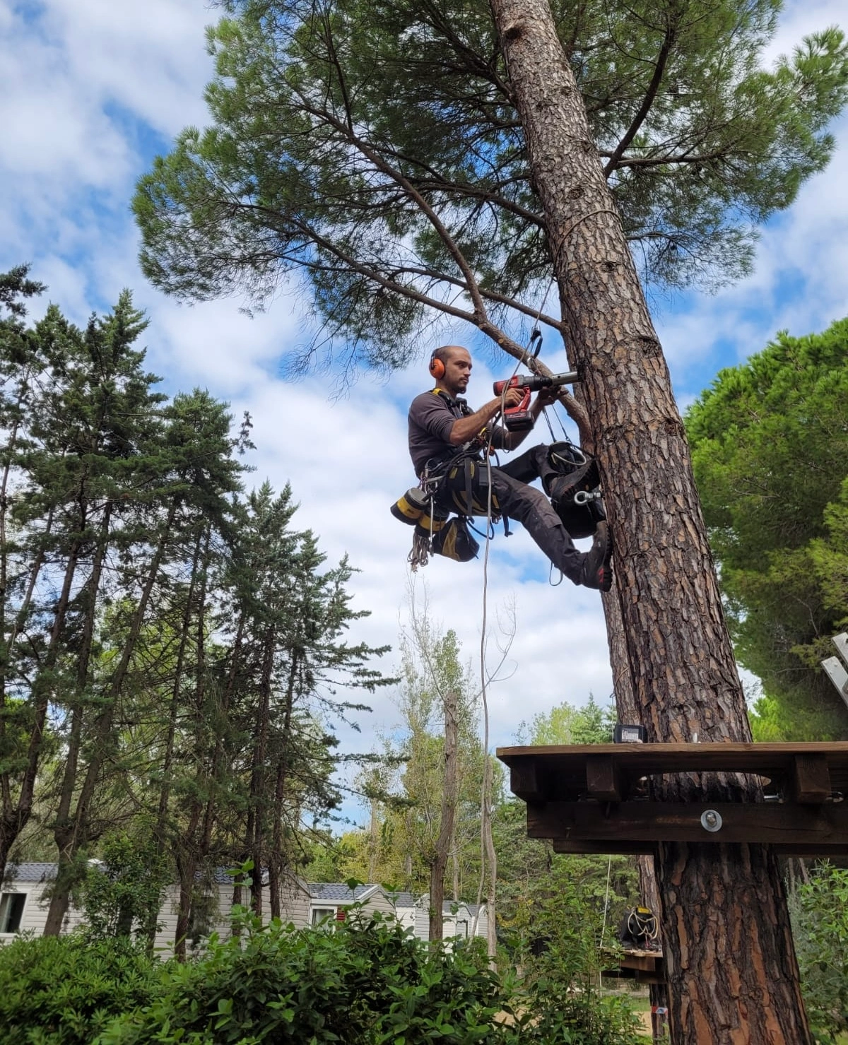 Perçage clou SVA sur arbre, chantier parc accrobranche La Grande Motte