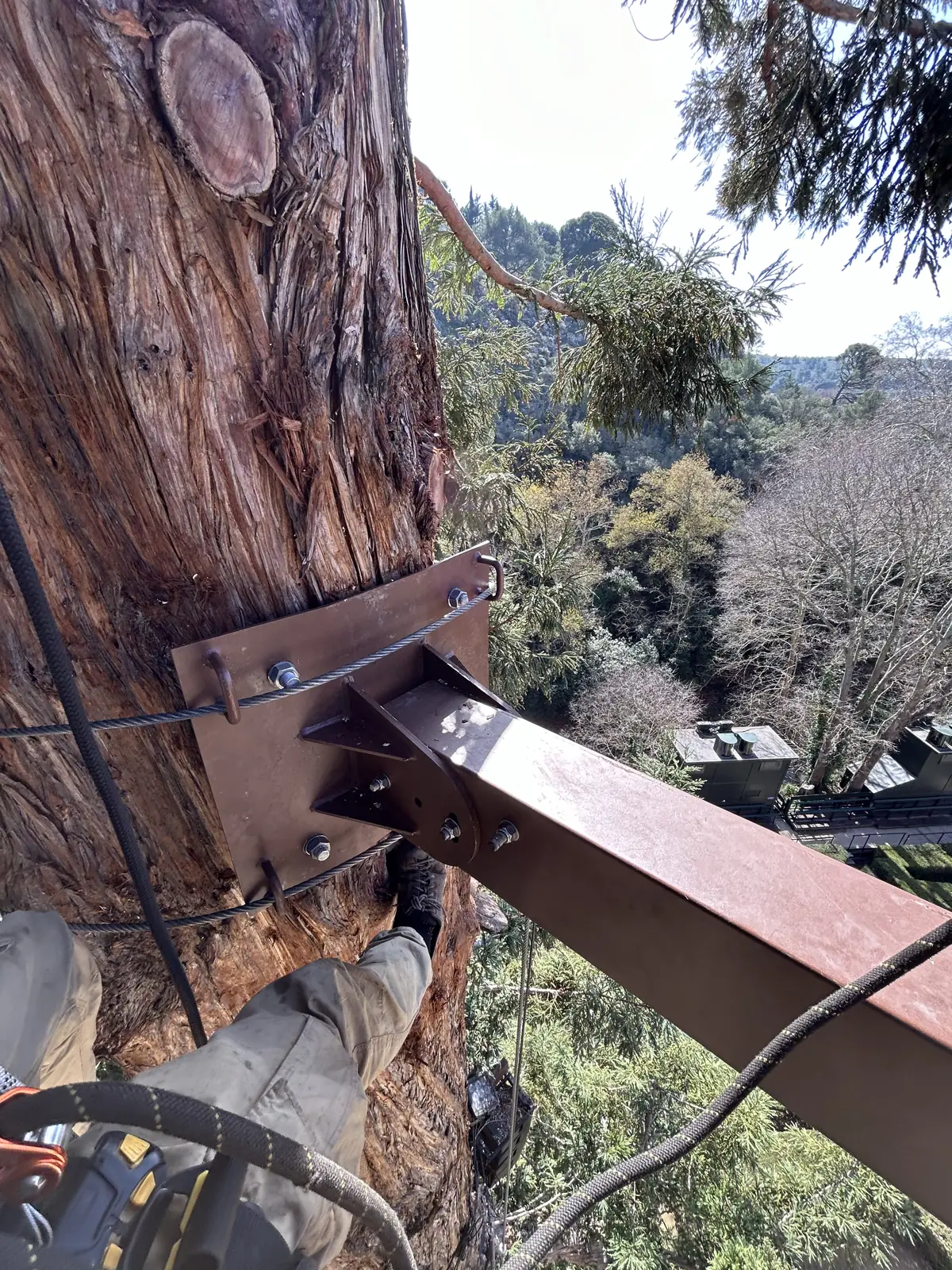 Steel rig arm fixed to the trunk, Rocher Mistral