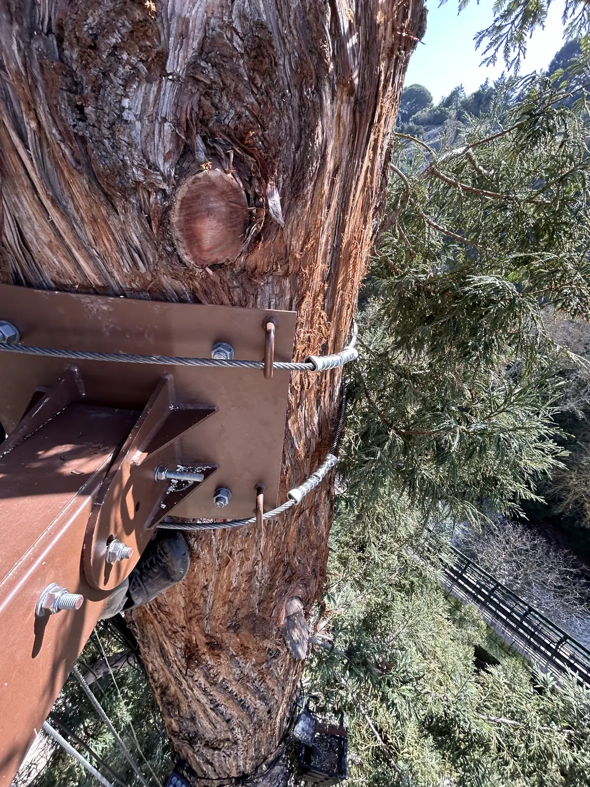 Rig mounting plate on the trunk, Rocher Mistral