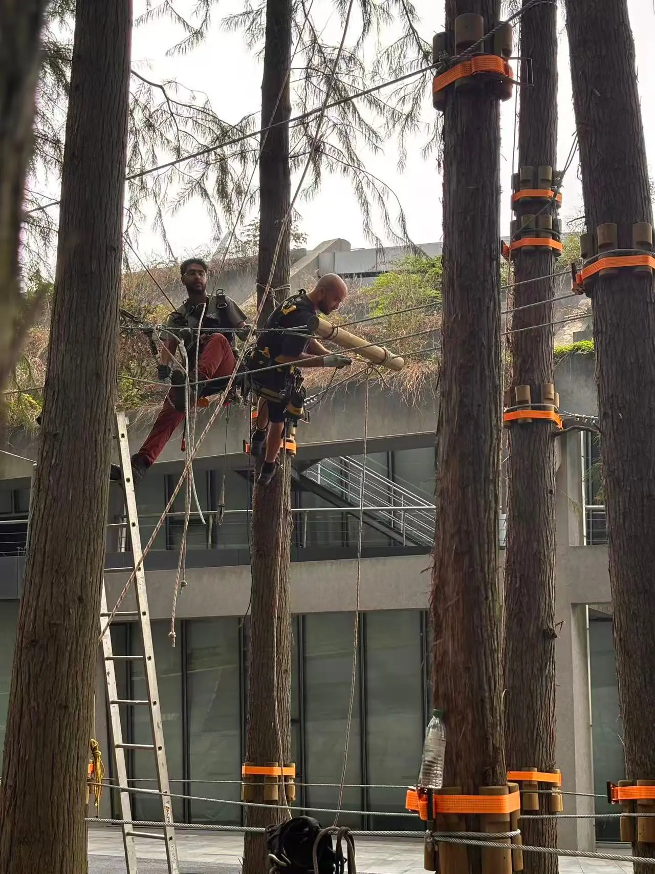 Constructeurs Accros Concept installant un parcours accrobranche dans les arbres